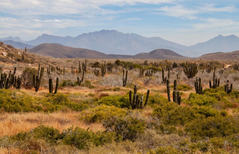 5 Best Places to Visit in Baja California Sur for Outdoor Adventure