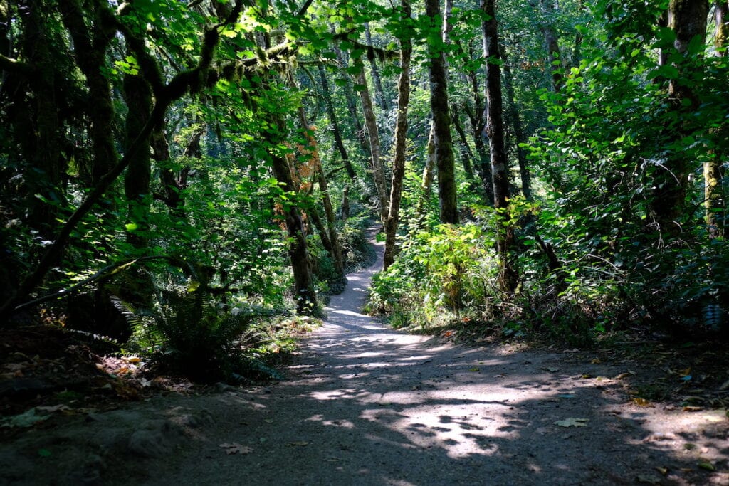 a forested trail in Tryon Creek State Natural Area near Portland