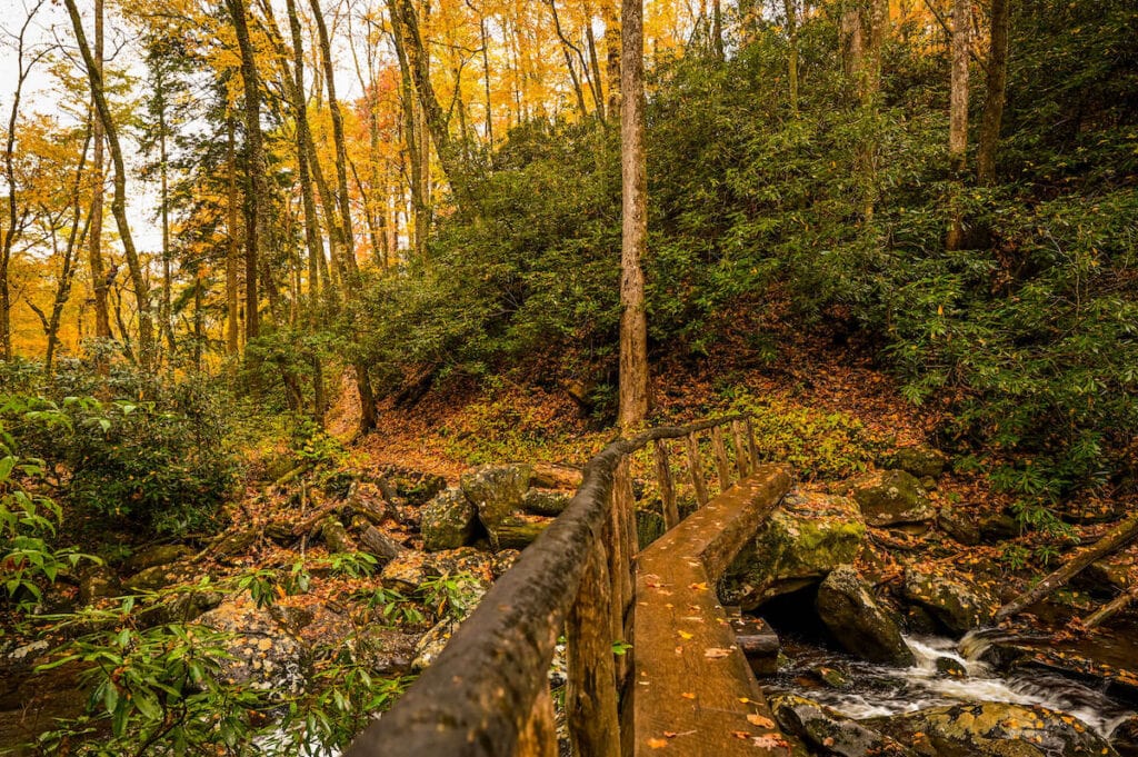 Narrow wooden log footbridge crossing river in Great Smoky National Park with handrail on one side. 