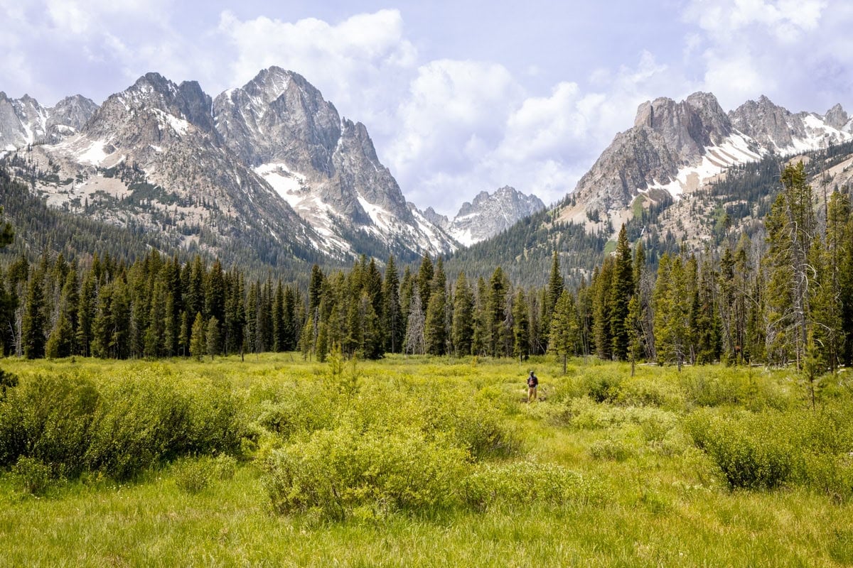 Sawtooth Mountains behind a green meadow