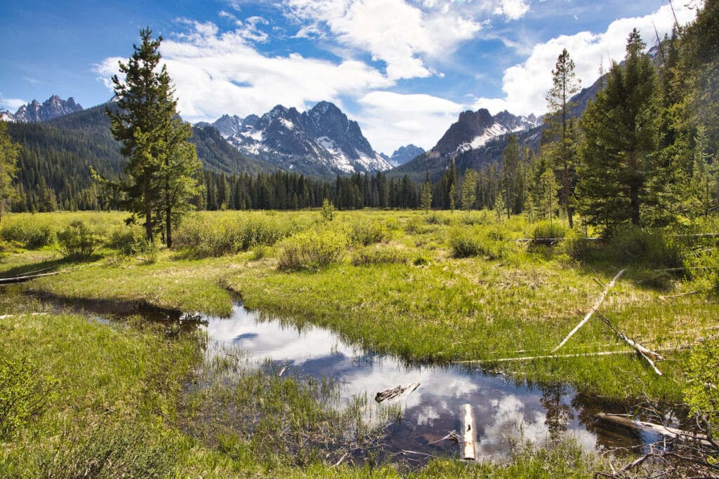 Landscape view out over creek and meadow in Idaho with tall, snow-dusted mountains in distance