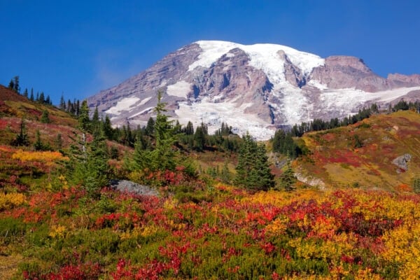 Best National Parks to Visit in Fall for Peak Colors – Bearfoot Theory