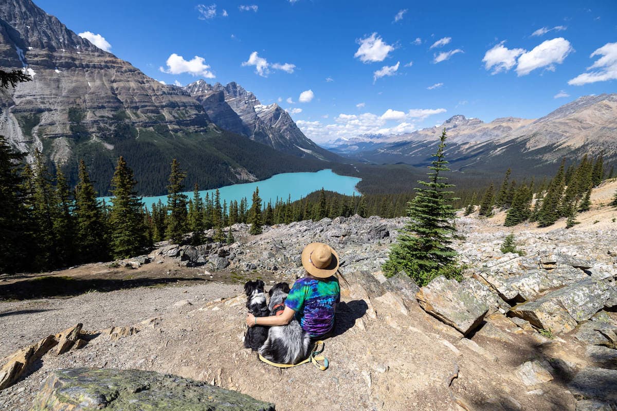 Woman sitting on rock overlook with two dogs looking out over blue alpine lake in Canadian Rockies