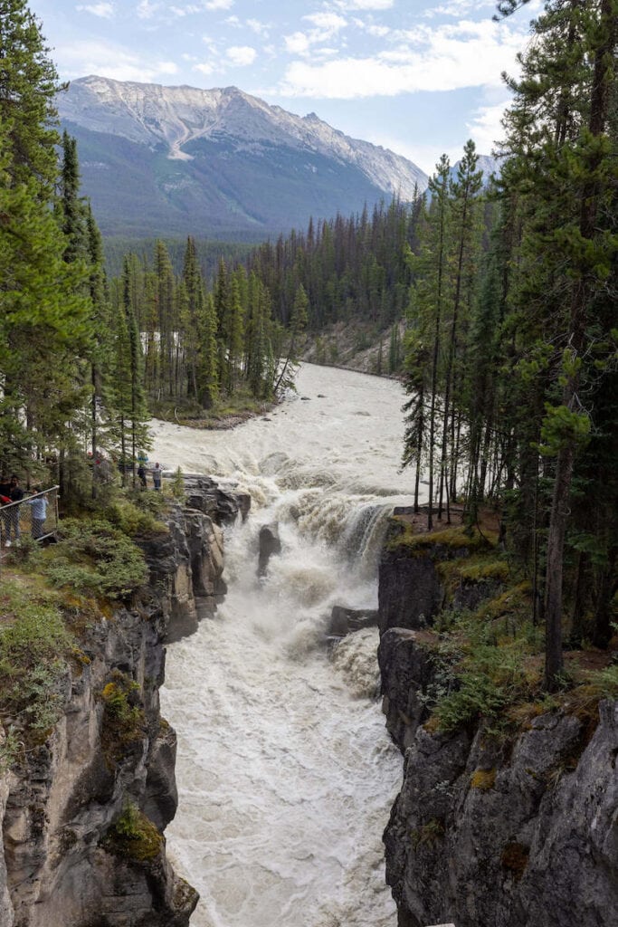 Rushing Sunwapta Falls in Alberta with tall mountain in background