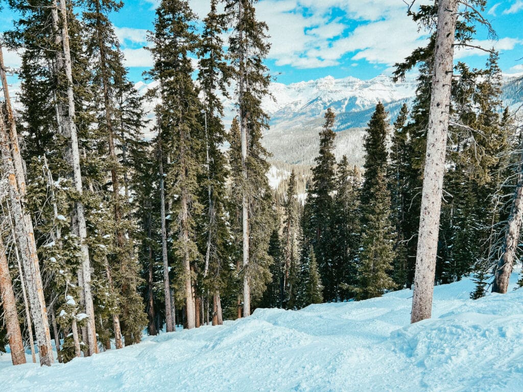 View of snow-capped rocky mountain through trees from slopes of Telluride Resort