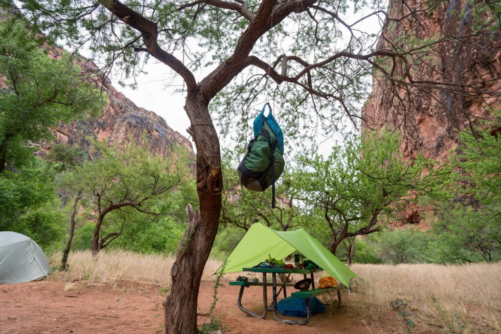 Camp site at Havasupai Campground with tent set up, gear laid out on picnic table, tarp over table, and bag hanging from tree