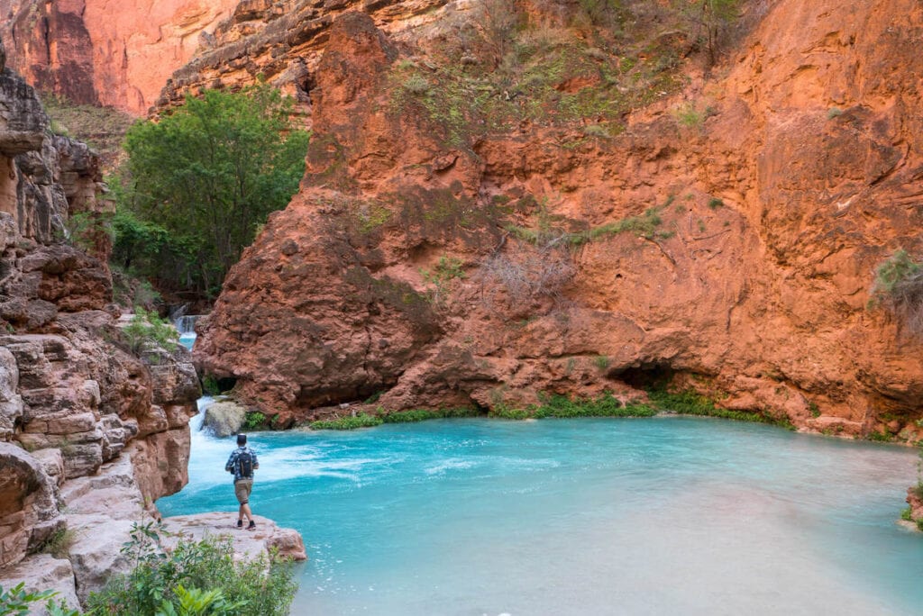 Man standing on ledge above turquoise blue waters surrounded by red rock cliffs in Havasu Canyon in Arizona