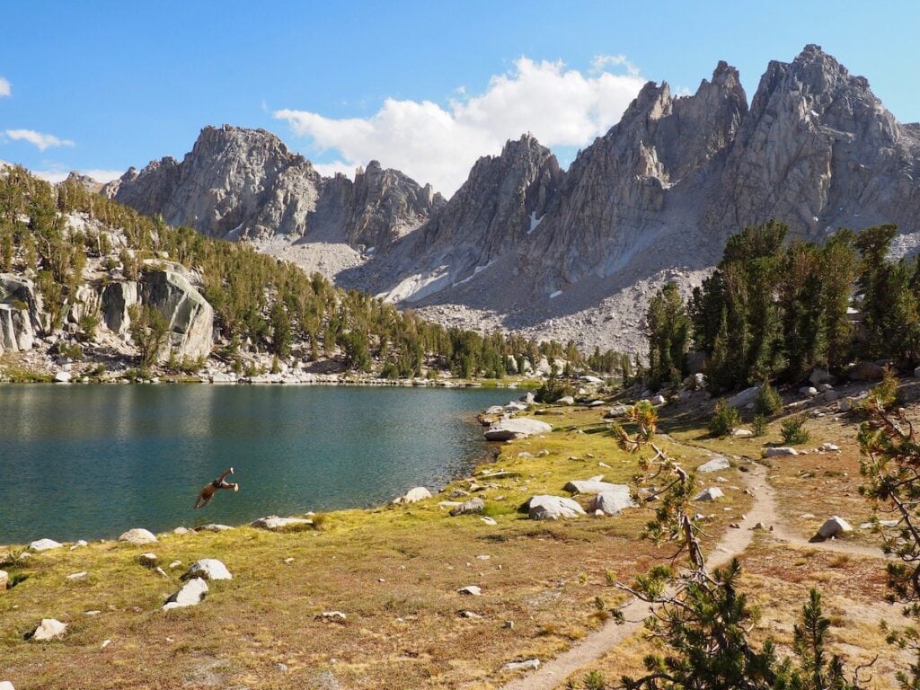 A man dives in Kearsarge Lake on the John Muir Trail