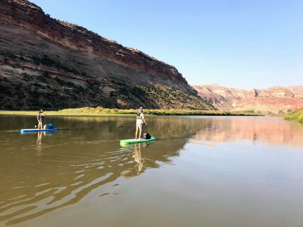 Two people on standup paddleboards on Ruby-Horsethief section of the Colorado Rivewr