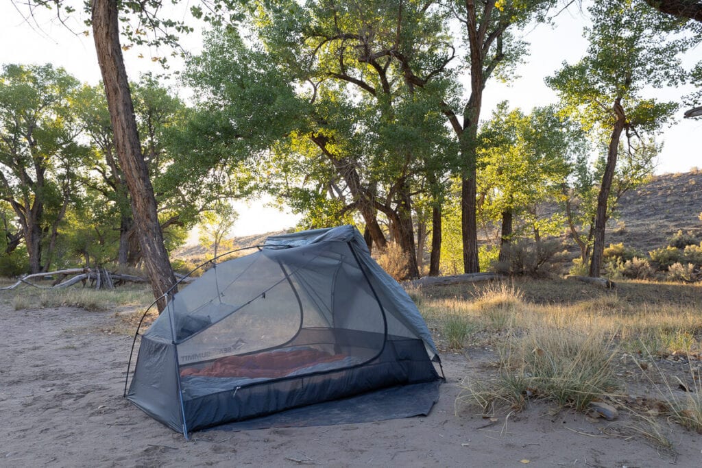Tent set up at Cottonwood campsite surrounded by cottonwood trees at Ruby Horsethief Canyon
