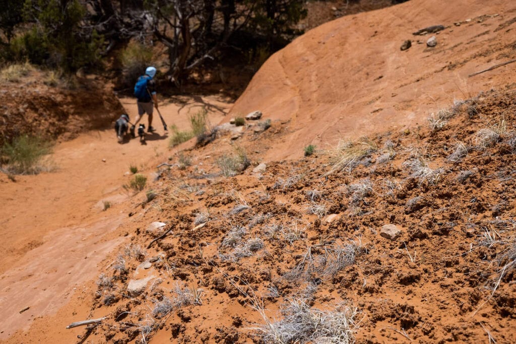 Low-to-ground photo of Cryptobiotic Soil in the desert of Utah with man walking two dogs on trail in background