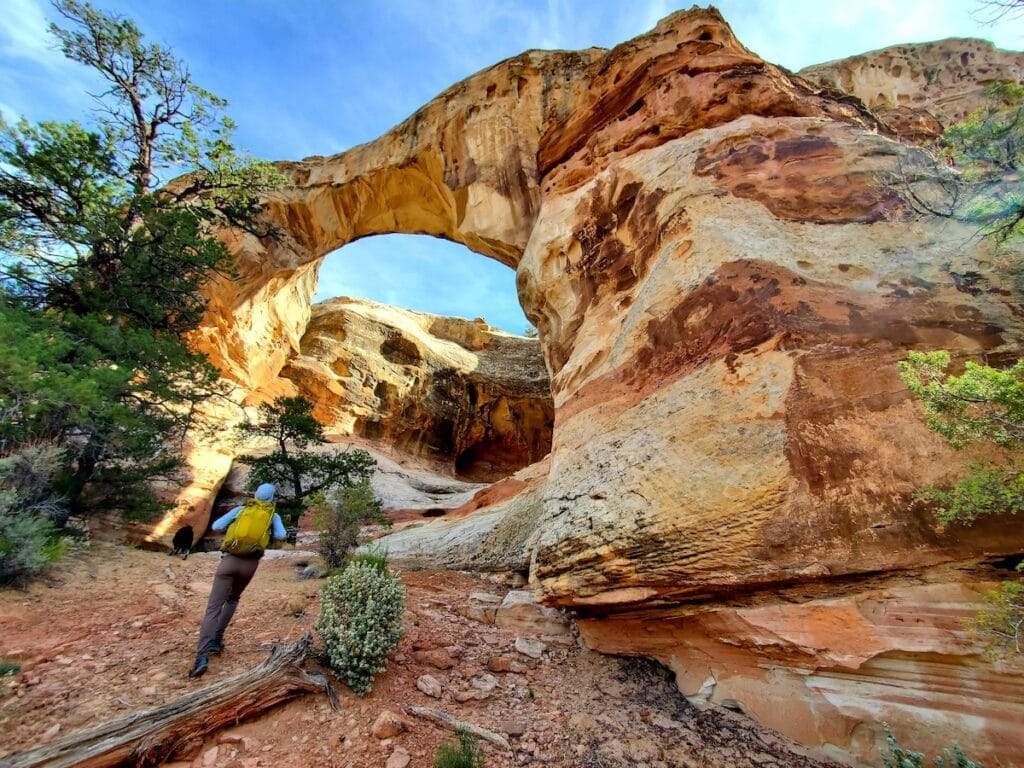 a man stands near the Sam Pollock Arch on the Hackberry Canyon Trail