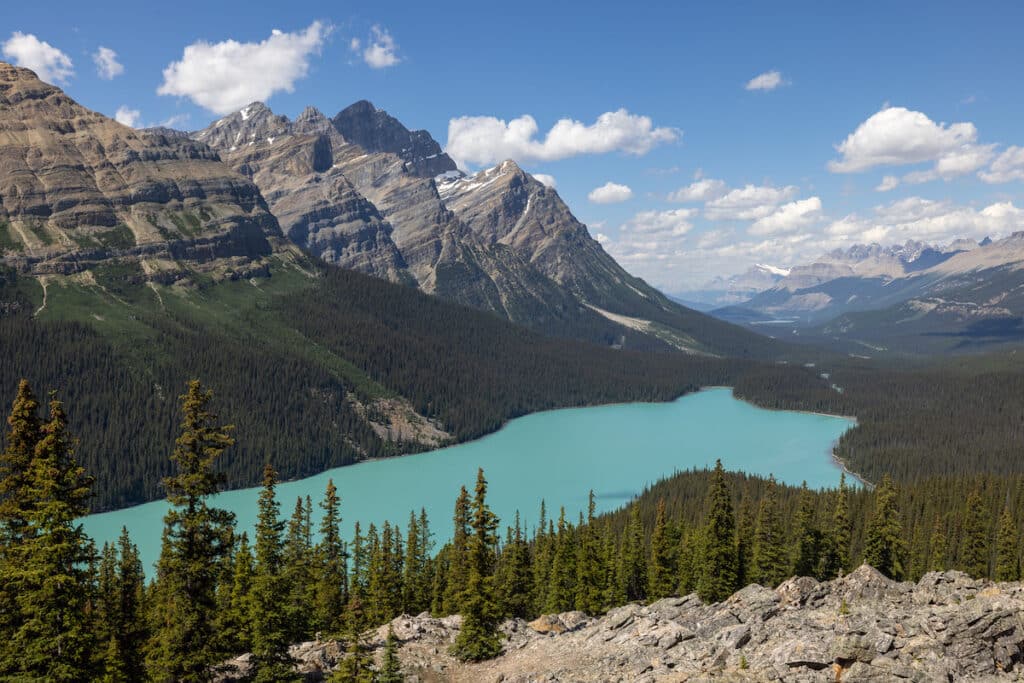 Turquoise blue Peyto Lake in the middle of the Canadian Rockies