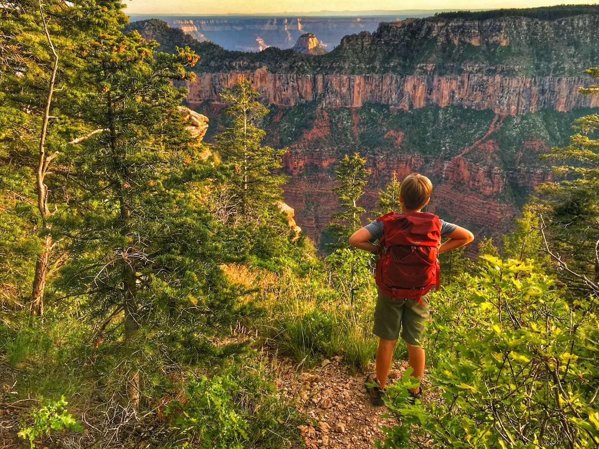 Kid wearing large backpack facing away from camera looking at red rock canyon views