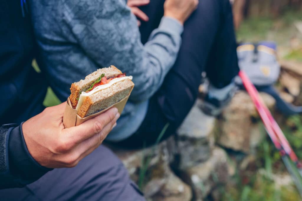 Hand holding sandwhich