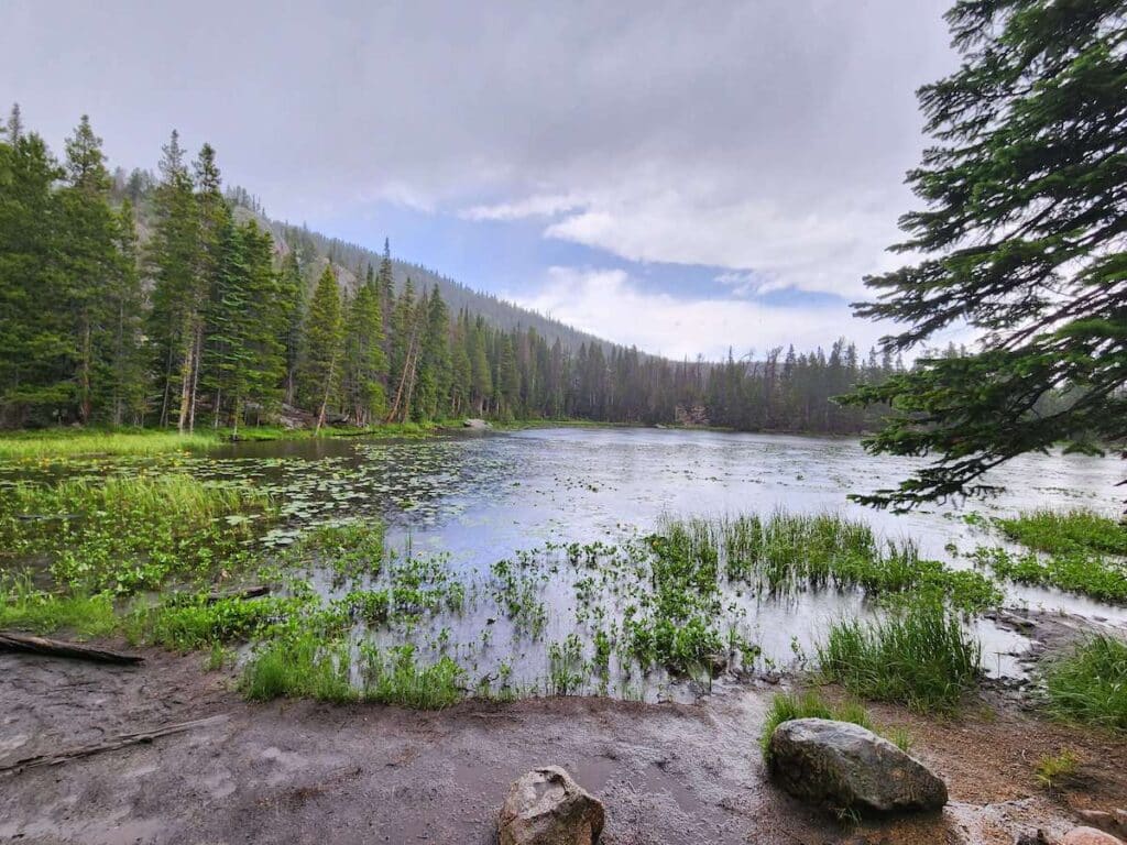 Photo out over Nymph Lake filled with lily pads and marsh grasses in Rocky Mountain National Park. 