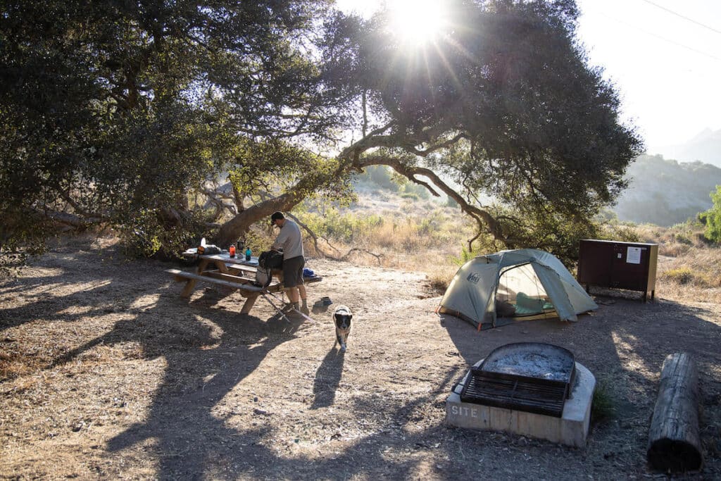 Camping gear set up and spread out virtually campsite on Catalina Island