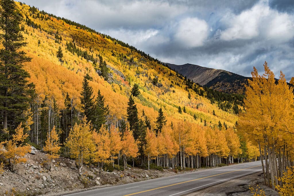 Fall aspen colors on mountainside on Monarch Pass in Colorado