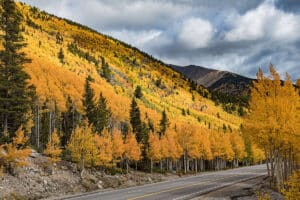 Ultimate 4-Day Colorado Fall Foliage Road Trip Itinerary – Bearfoot Theory