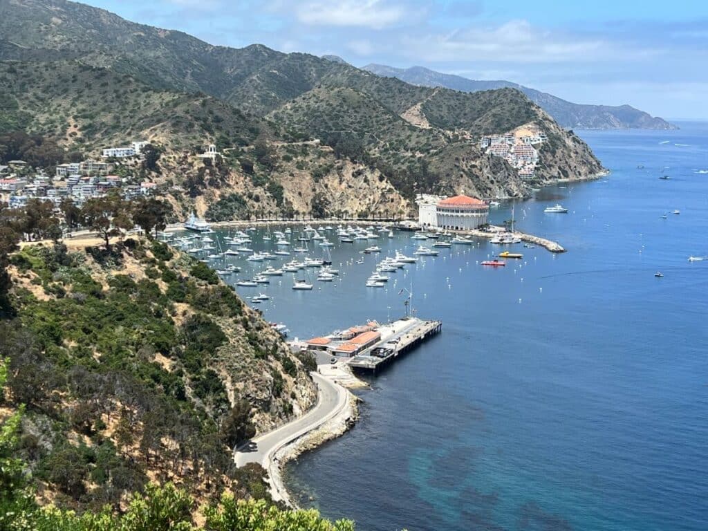 View of Catalina Island harbor