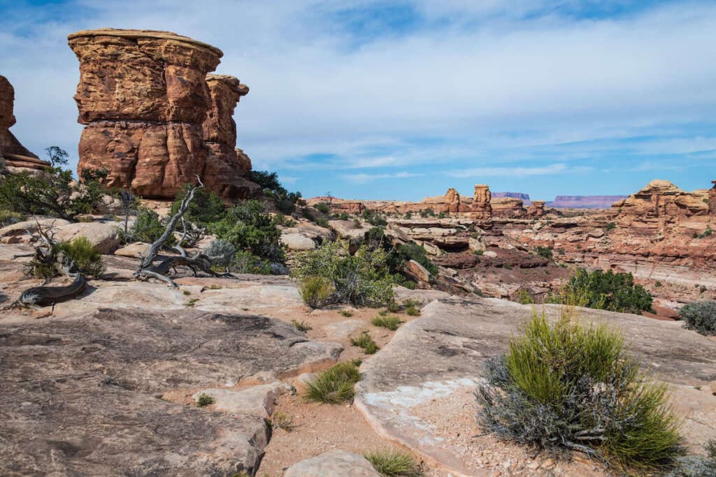 View of red rock formations at Big Springs Canyon Overlook in Canyonlands National Park