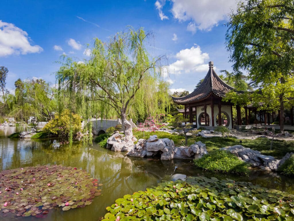 Chinese Gardens at Huntington Library gardens in Los Angeles