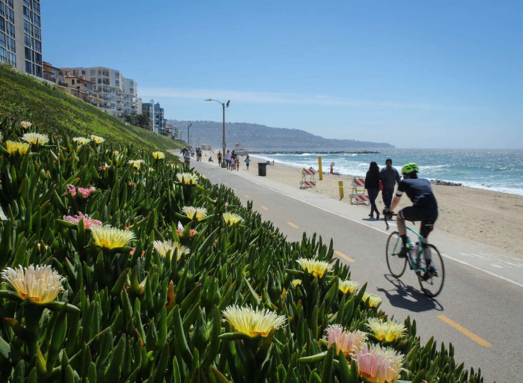 Cyclist on Marvin Braude Bike Path the parallels the beach and ocean in Los Angeles