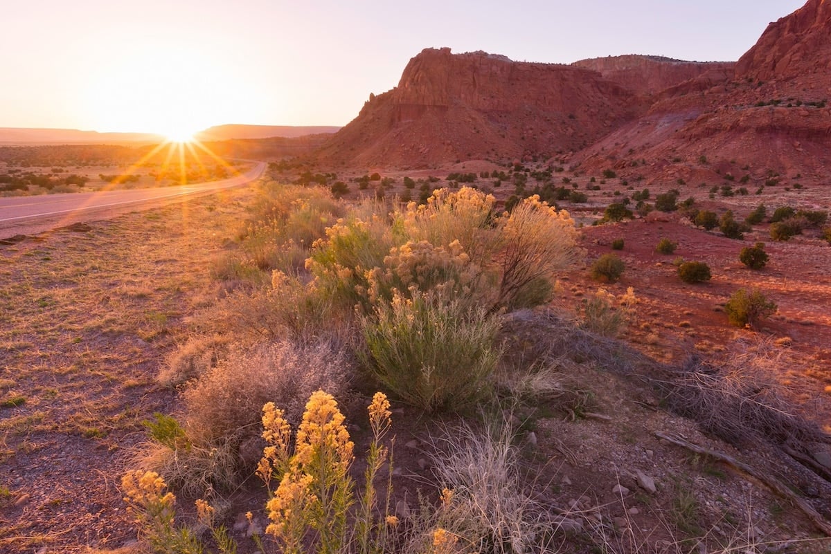 New Mexico desert at sunset