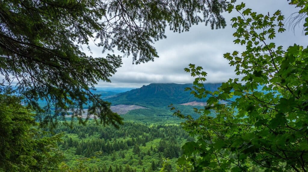 Views from Saddle Mountain in Oregon
