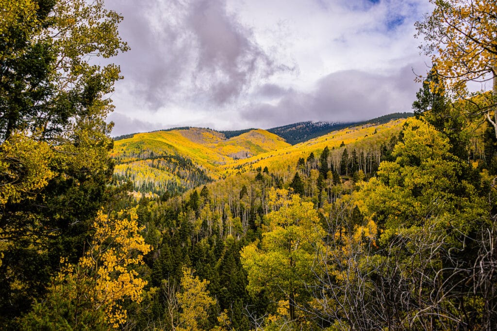 new mexico driving trips