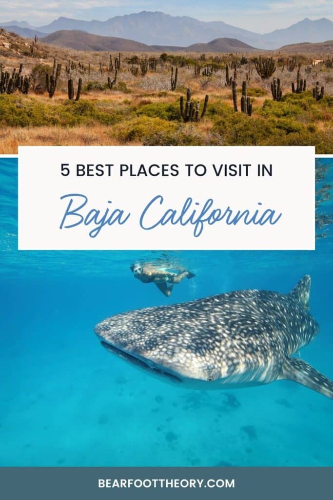 A pinnable image of a desert mountain landscape on top and a whale shark on the bottom with the words "5 best places to visit in Baja california"