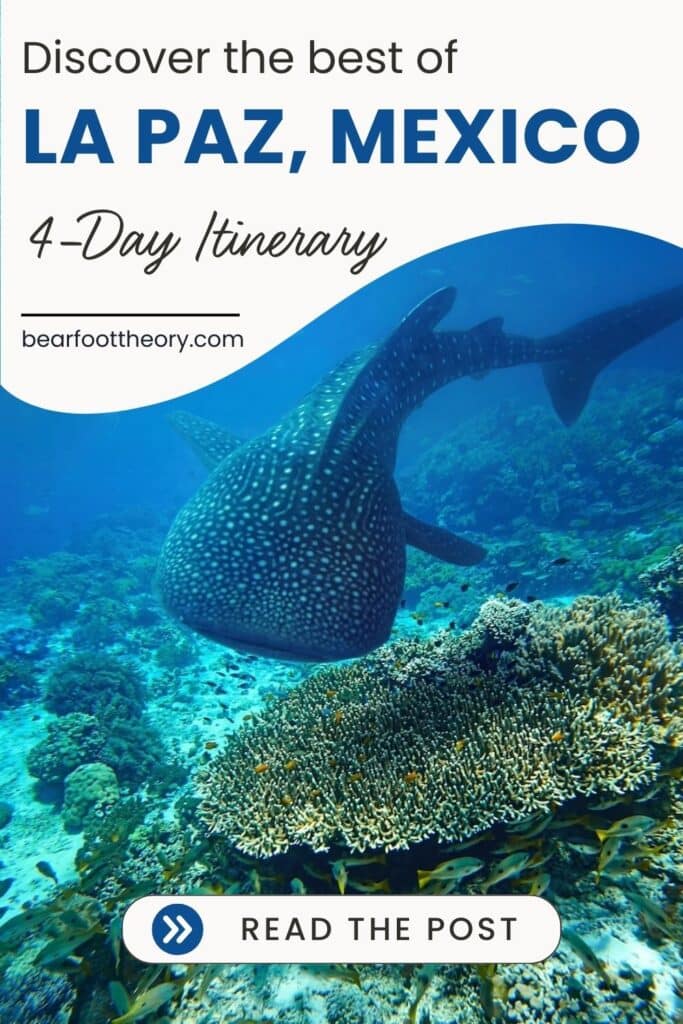 A pinnnable image with a photo of a whale shark with the text "Discover the bet of La Paz Mexico - 4-day itinerary"