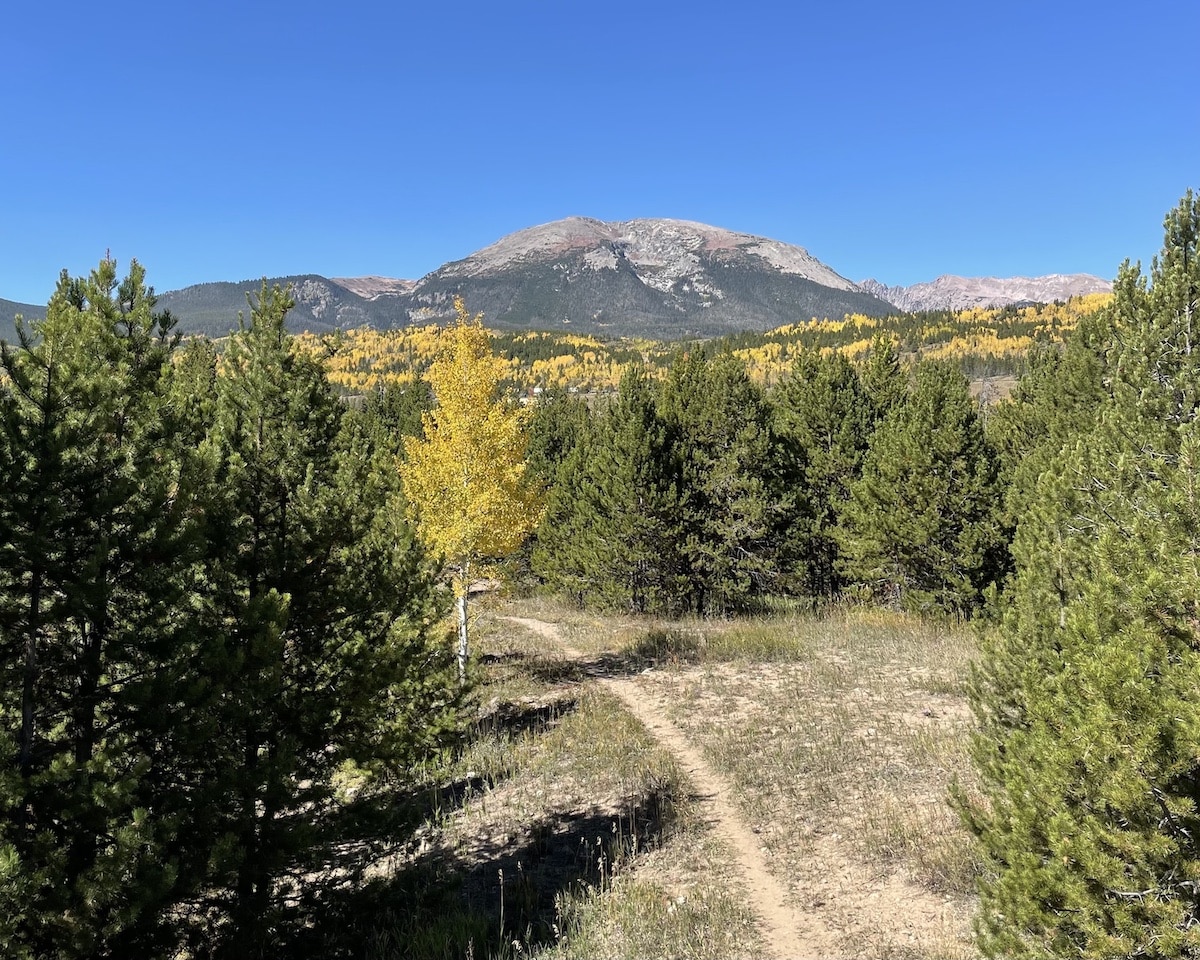 A dirt trail leading to aspen trees and a mountain view in Colorado