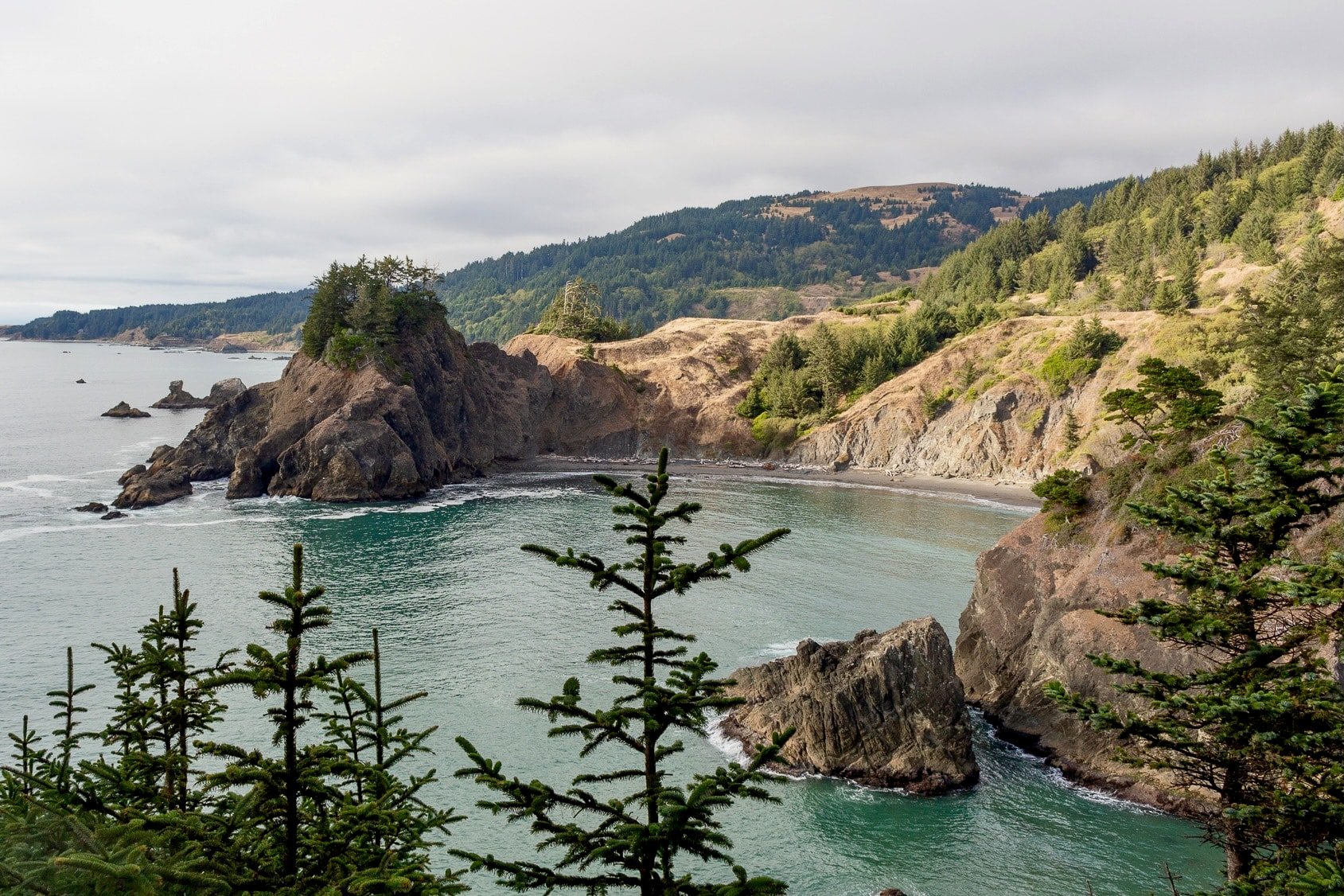 Scenic overlook on the Oregon Coast